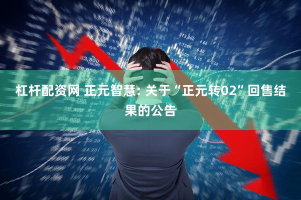 杠杆配资网 正元智慧: 关于“正元转02”回售结果的公告