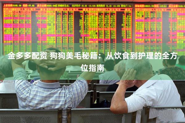 金多多配资 狗狗美毛秘籍：从饮食到护理的全方位指南