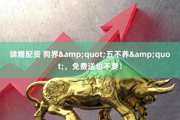 锦鲤配资 狗界&quot;五不养&quot;，免费送也不要！