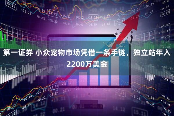 第一证券 小众宠物市场凭借一条手链，独立站年入2200万美金